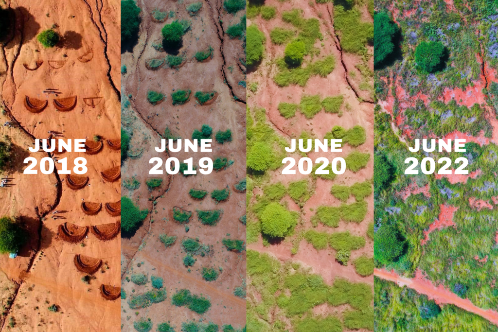 shows aerial views year to year 2018-22 with bunds increasing green areas